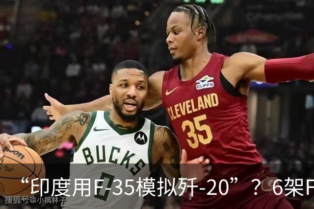 “印度用F-35模拟歼-20”？6架F-35飞往印度，外媒：印度“阵风”将其当歼-20进行测试