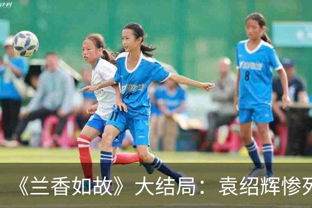 《兰香如故》大结局：袁绍辉惨死后，林绣茹对袁家人做得有多绝