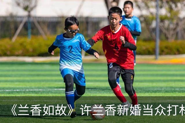 《兰香如故》许兰香新婚当众打林锦岐一巴掌，只有林绣茹戳中真相