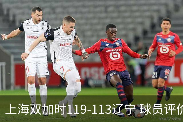 上海双加时119-113辽宁 球员评价：4人优秀，3人及格，4人低迷