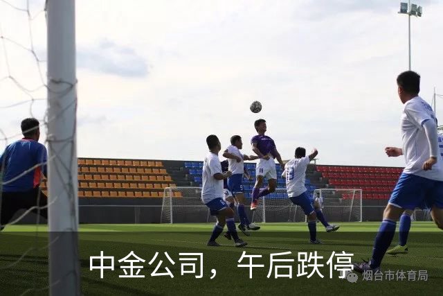 中金公司，午后跌停