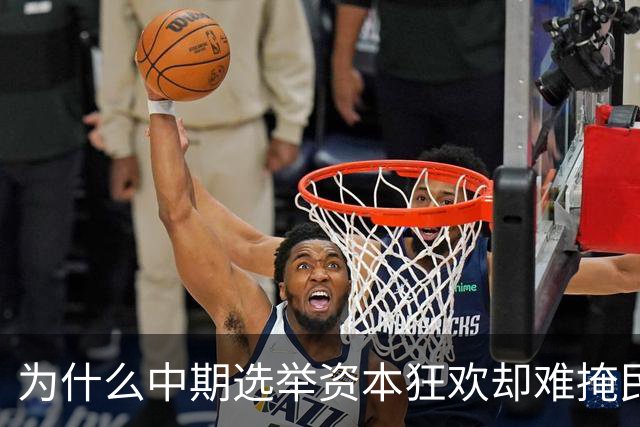 为什么中期选举资本狂欢却难掩民主隐忧？