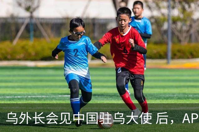 乌外长会见中国驻乌大使 后，APEC会议召开前，泽连斯基向我国喊话