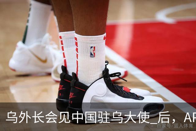 乌外长会见中国驻乌大使 后，APEC会议召开前，泽连斯基向我国喊话