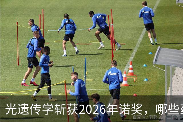 光遗传学斩获2026年诺奖，哪些药企有布局？进展如何？