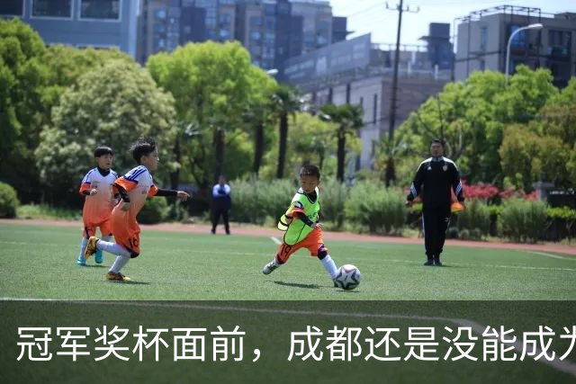 冠军奖杯面前，成都还是没能成为自己
