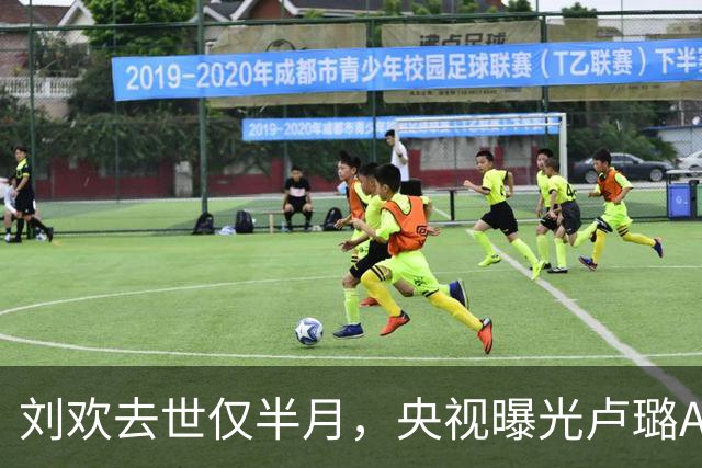 刘欢去世仅半月，央视曝光卢璐AI骗局内幕，半个娱乐圈都曾受其害