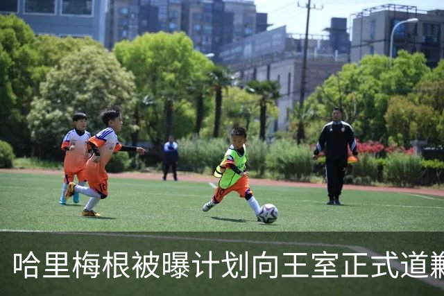 哈里梅根被曝计划向王室正式道歉，欲终结与威廉凯特的家族不和