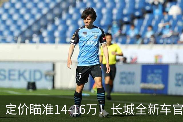 定价瞄准14-16万！长城全新车官宣，年内就能买到
