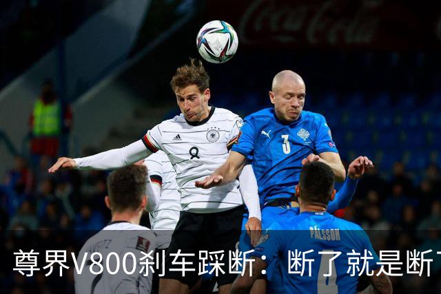 尊界V800刹车踩断：断了就是断了，紧急时刻任何踩法都该扛住