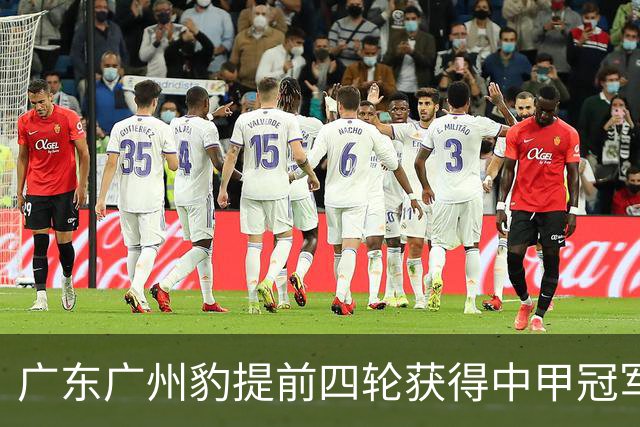 广东广州豹提前四轮获得中甲冠军 广州足球时隔四年再登中超舞台