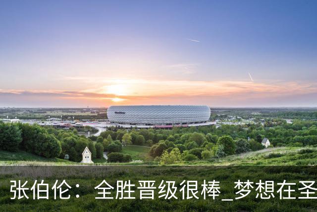 张伯伦：全胜晋级很棒 梦想在圣西罗踢欧冠