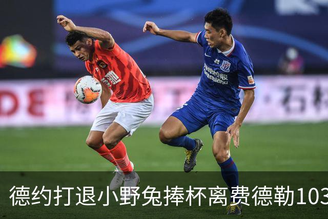 德约打退小野兔捧杯离费德勒103冠仅差一冠，辛纳因伤别离2026