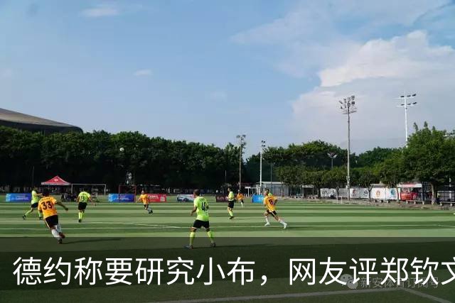 德约称要研究小布，网友评郑钦文战施晗：比凯斯和斯瓦泰克难打？