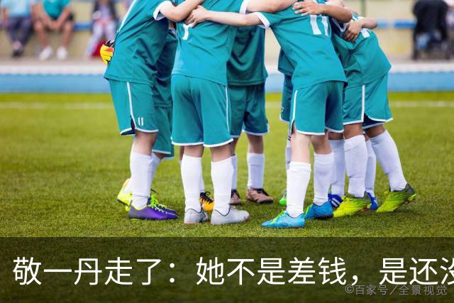 敬一丹走了：她不是差钱，是还没学会不用再交活儿了！