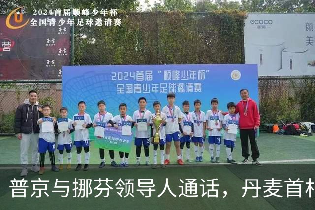 普京与挪芬领导人通话，丹麦首相批削弱欧洲团结