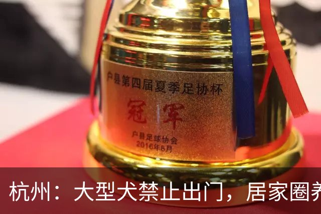 杭州：大型犬禁止出门，居家圈养。狗的一辈子，就关在屋里