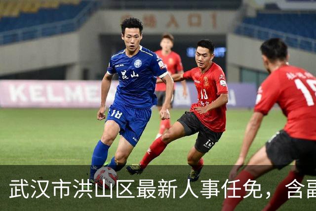 武汉市洪山区最新人事任免，含副区长