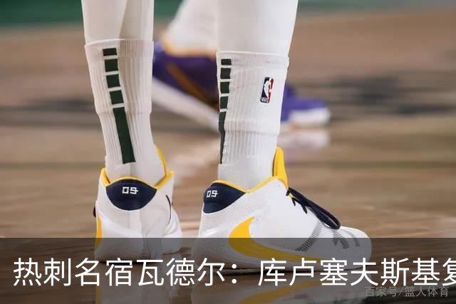 热刺名宿瓦德尔：库卢塞夫斯基复出需耐心