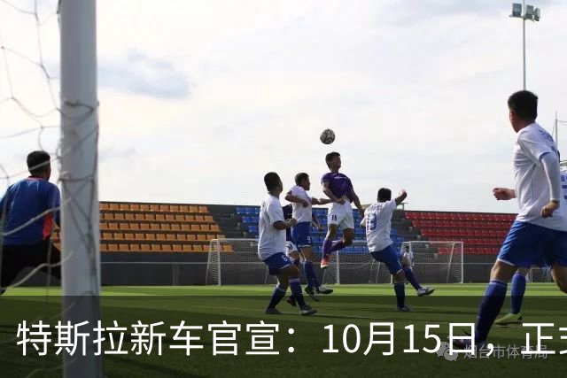 特斯拉新车官宣：10月15日，正式发布