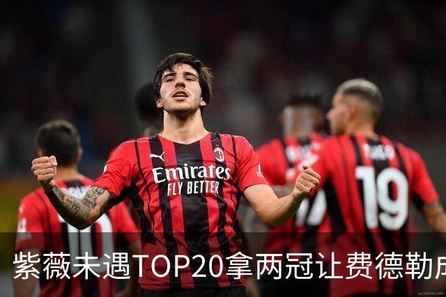 紫薇未遇TOP20拿两冠让费德勒成同情对象，萨巴变决赛热门？
