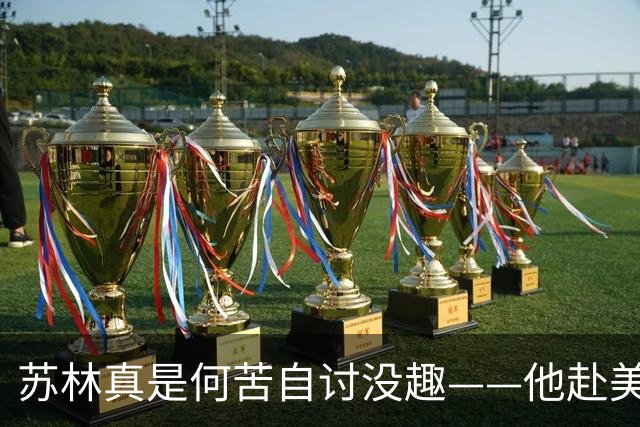 苏林真是何苦自讨没趣——他赴美出席联大会议，本想学一学大国外交，谁知刚在美国议员的会客室里落座，气氛立刻就变了味