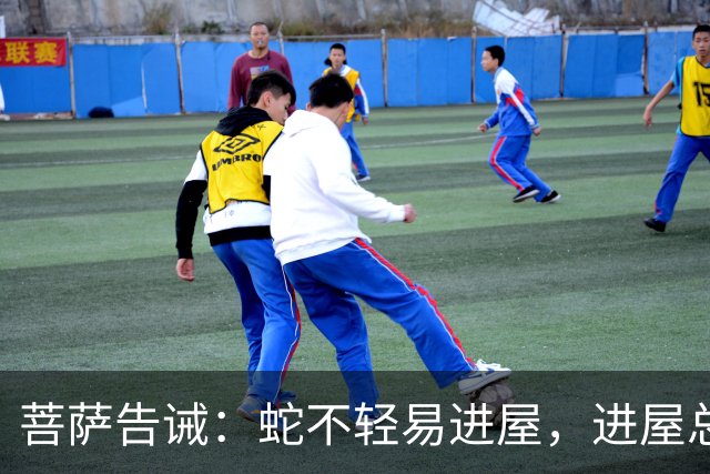 菩萨告诫：蛇不轻易进屋，进屋总会发生这三件大事，定要留意！