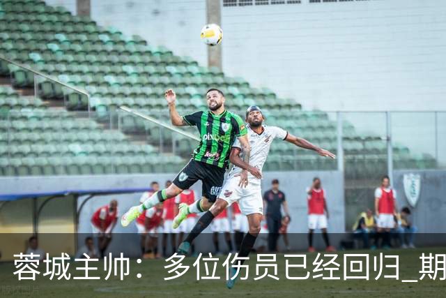 蓉城主帅：多位伤员已经回归 期待主场把这个冠军拿下