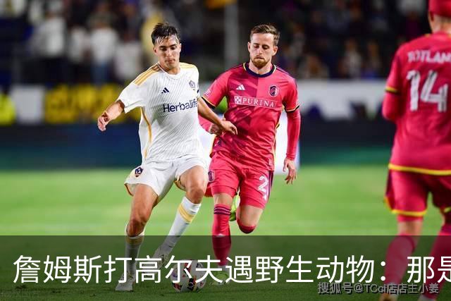 詹姆斯打高尔夫遇野生动物：那是狐狸还是郊狼？