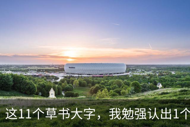 这11个草书大字，我勉强认出1个！11字全读对的人，我甘愿拜师！大字草书如何才能写出"压手感"？