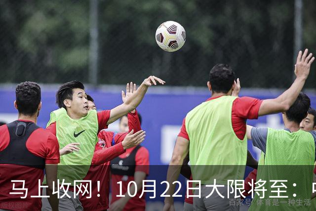 马上收网！10月22日大限将至：中国富豪正在＂割肉＂补税