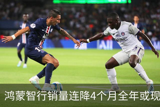 鸿蒙智行销量连降4个月全年或现负增长 前三季问界交付跌12.6%智界下滑24.5%