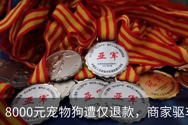 8000元宠物狗遭仅退款，商家驱车600公里上门寻狗，顾客称狗已病死不退还，否认恶意仅退款：声誉受损，将起诉商家