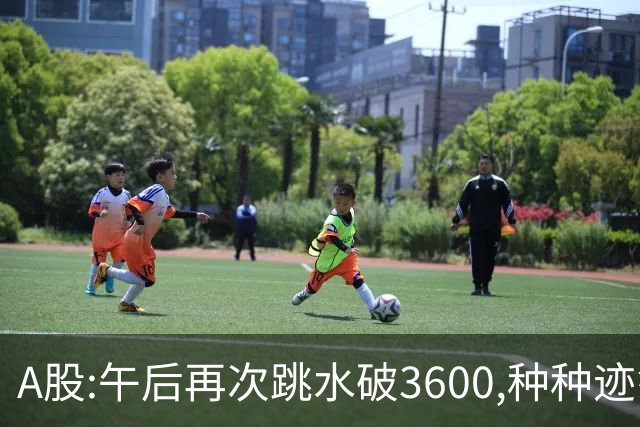 A股:午后再次跳水破3600,种种迹象表明,A股C浪调整箭在弦上了吗?